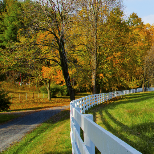 Social Security Benefits for Family Members